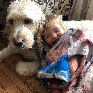 Meet your Posher, Wanda